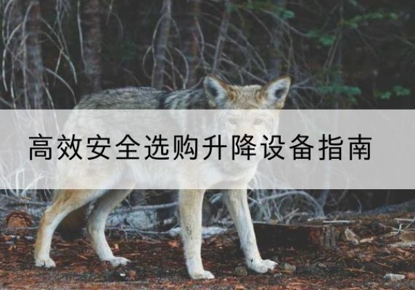 江山升降货梯厂家推荐-*安全选购升降设备指南