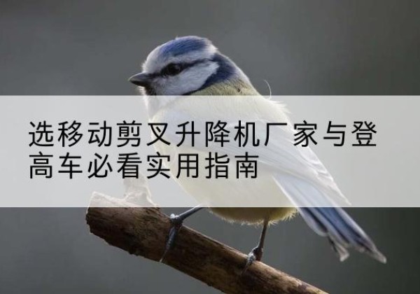江山电动升降机厂家-选移动剪叉升降机厂家与登高车必看实用指南